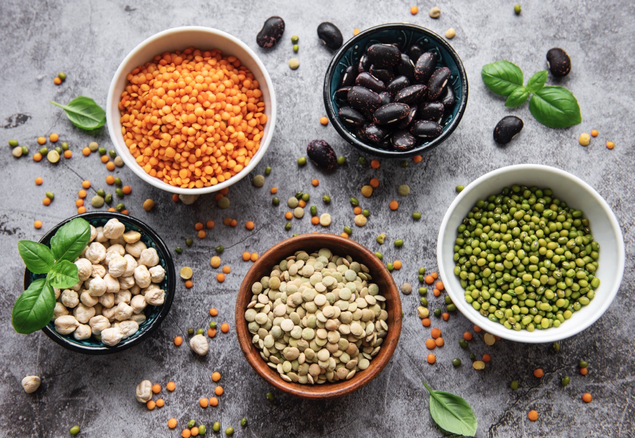 INCREASE <p style='font-size:2px;'> </p><p><span style='color:#b7b7b7;font-size:14px; line-height:35% !important; padding-top:50px !important;'>Intelligent Collections of Food Legumes Genetic Resources for European Agrofood Systems [end: 30 Apr 2026] (pulsesincrease.eu)</span></p>